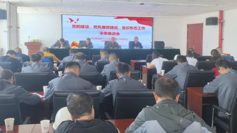 工投公司黨委召開黨的建設(shè)、黨風(fēng)廉政建設(shè)、意識形態(tài)工作半年推進會